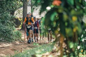 BIB: 
                            <button type="button" onclick="openModal(25276715)" class="btn btn-primary btn-sm float-right btn-popup" data-toggle="modal" data-target=".modal-high-quality">
                        <i class="fas fa-shopping-cart"></i> Add to Cart
                    </button>
                                            <button type="button" onclick="isThisMe(25276715, true)" class="btn btn-success btn-sm float-right btn-popup btn-isme hidden" data-toggle="tooltip" data-placement="bottom" title="นี่คือรูปของคุณใช่ไหม คลิกที่นี่เพื่อเอาเข้าอัลบั้ม">
                        <i class="fas fa-plus"></i> Add to album
                    </button>
                    <button type="button" onclick="isThisMe(25276715, false)" class="btn btn-warning btn-sm float-right btn-popup btn-isnotme hidden">
                        <i class="fas fa-ban"></i> Remove from album
                    </button>